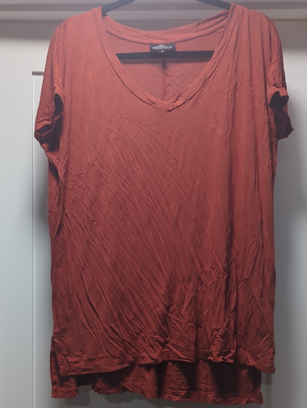 Angie V-Neck Short Sleeve Tunic in Rust Orange